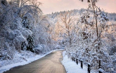 緊急通知 又一網(wǎng)紅打卡地橫空出世！入境旅游新熱點(diǎn)——會(huì)下雪的圣誕派對(duì)